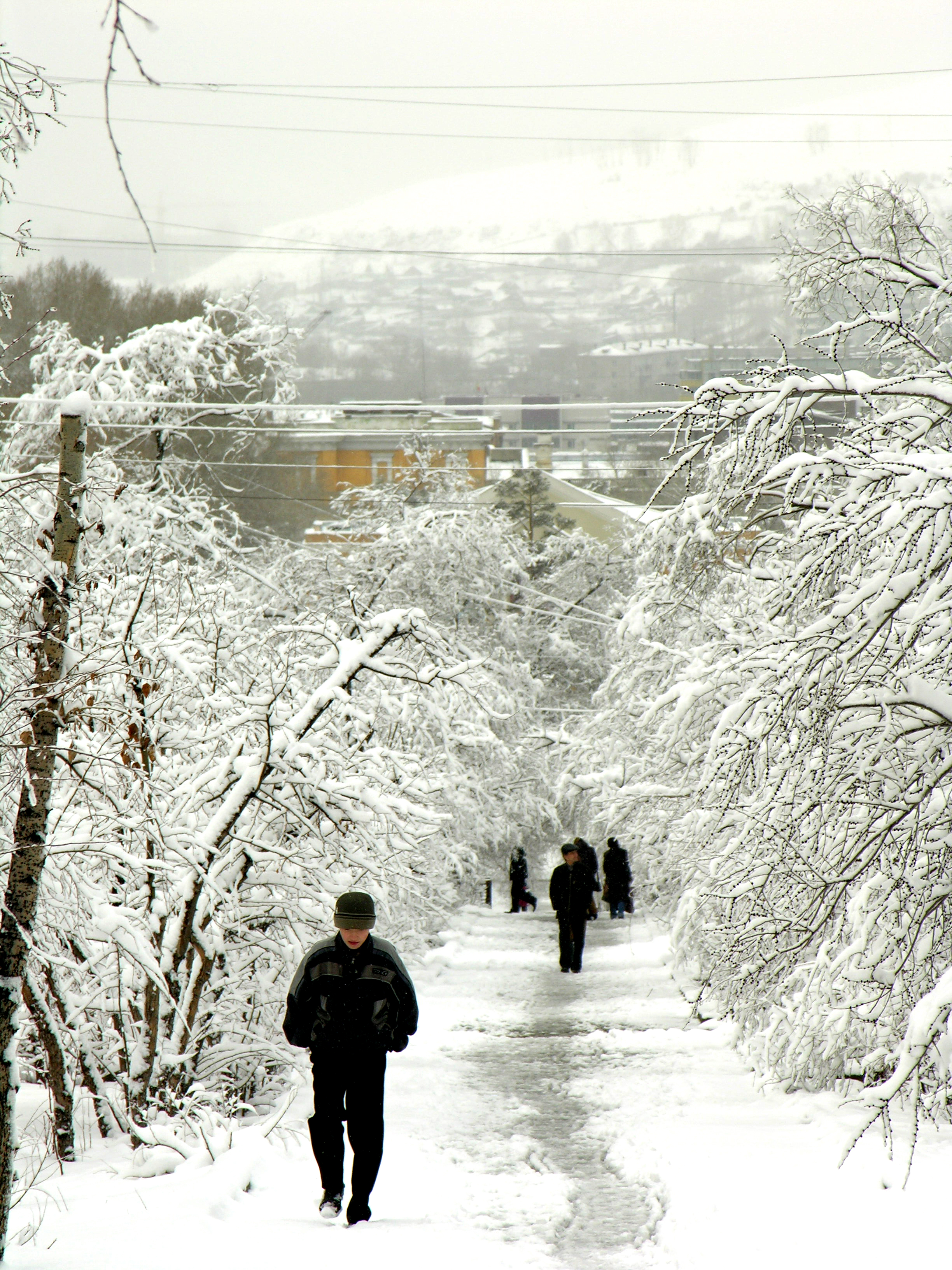 Winter scene in Chita