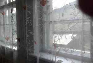 window with lace curtains
