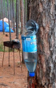 upside-down water bottle nailed to a tree for washing up