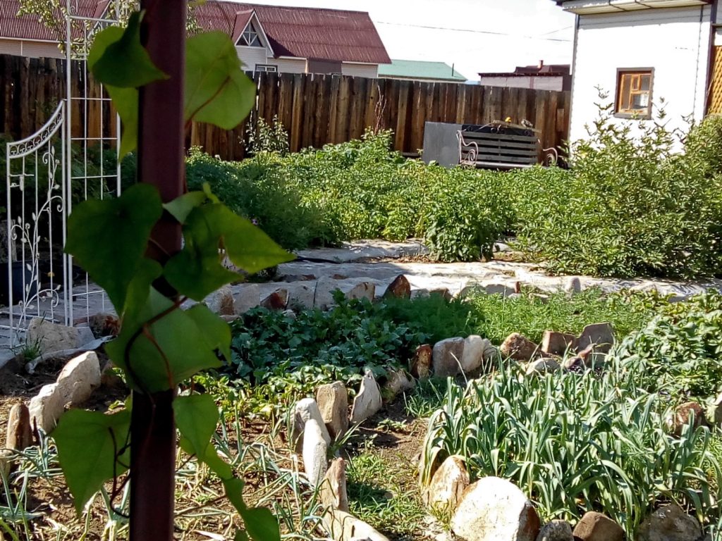 ornate vegetable garden, banya in the back