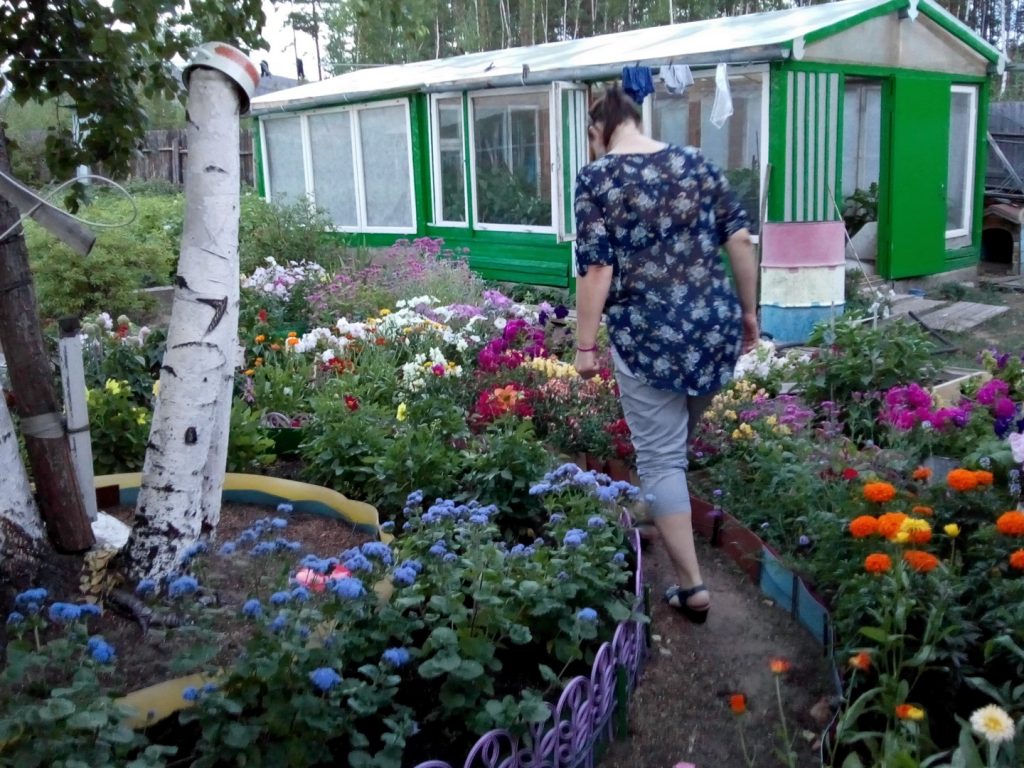 woman walking in a flower garden. Greenhouse beyond her.