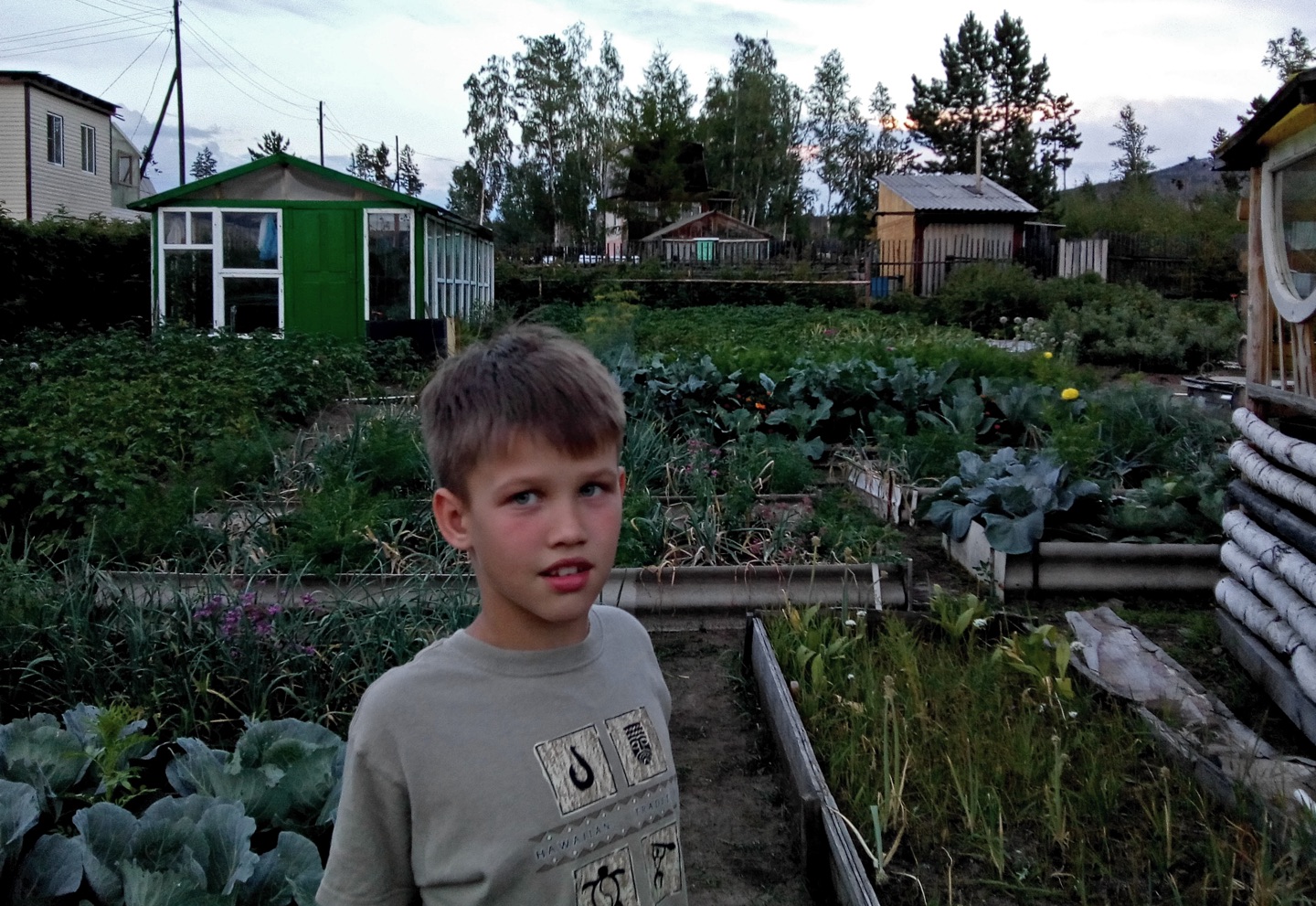boy in a large vegetable garden