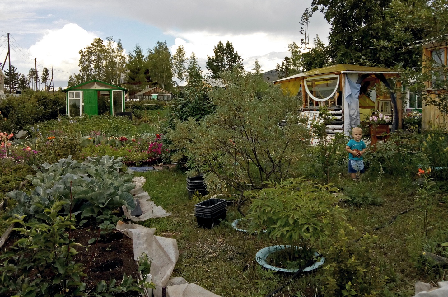 toddler in a garden