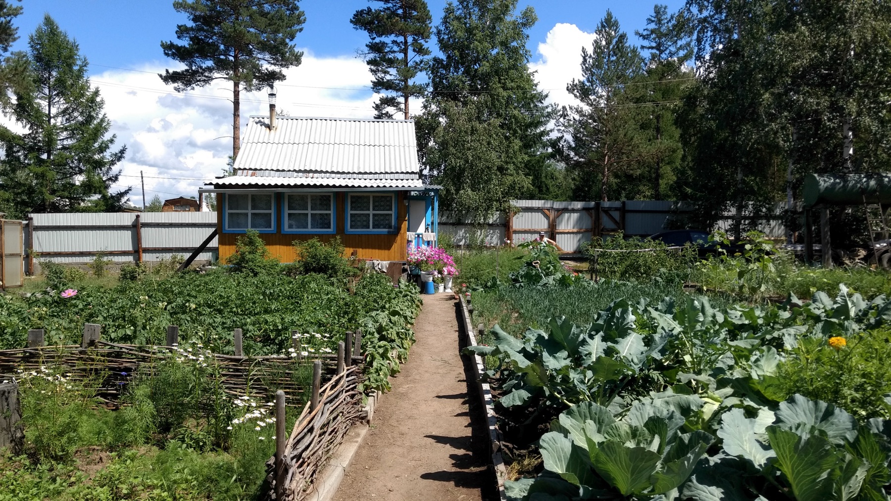 large vegetable garden with a small house in the back