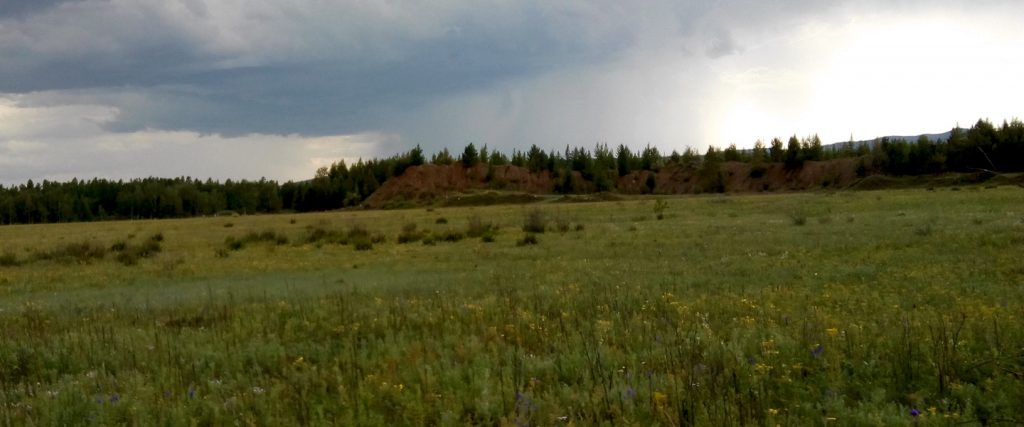 meadow with sand piles in the background